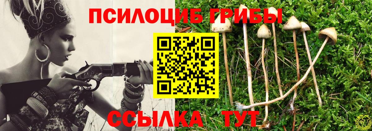 Галлюциногенные грибы ЛСД Нальчик